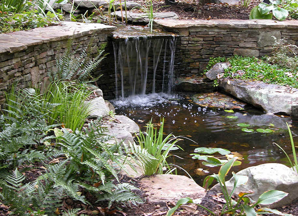 Water Gardens Portfolio